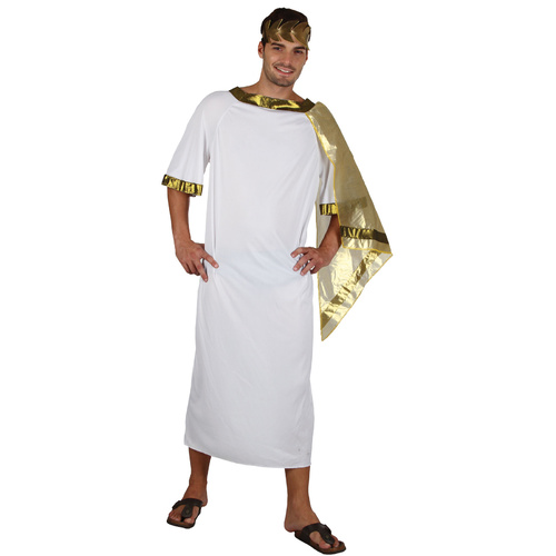 Ancient Man Toga Style Adult Costume