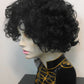 Prince Black Curly Wig