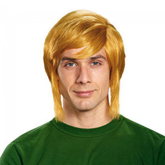 The Legend of Zelda Link Wig