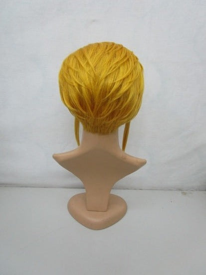 The Legend of Zelda Link Wig