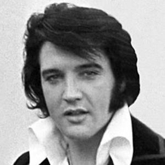 Elvis Wig