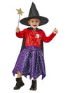 Julia Donaldson Room On The Broom Costume