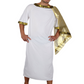 Ancient Man Toga Style Adult Costume