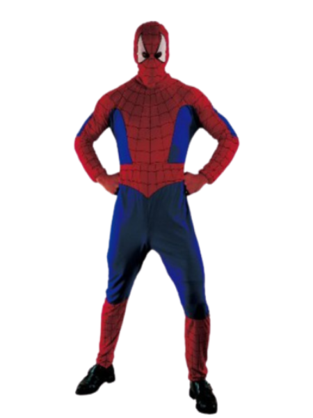 Spider hero Spiderman costume